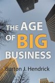 Age of Big Business (eBook, ePUB)