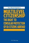 Multilevel Citizenship (eBook, PDF)