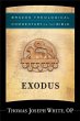 Exodus (Brazos Theological Commentary... - Bild 1