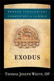 Exodus (Brazos Theological Commentary on the Bible) (eBook, ePUB)