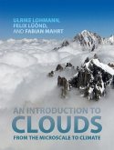 Introduction to Clouds (eBook, ePUB)