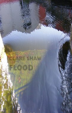Flood (eBook, ePUB) - Shaw, Clare