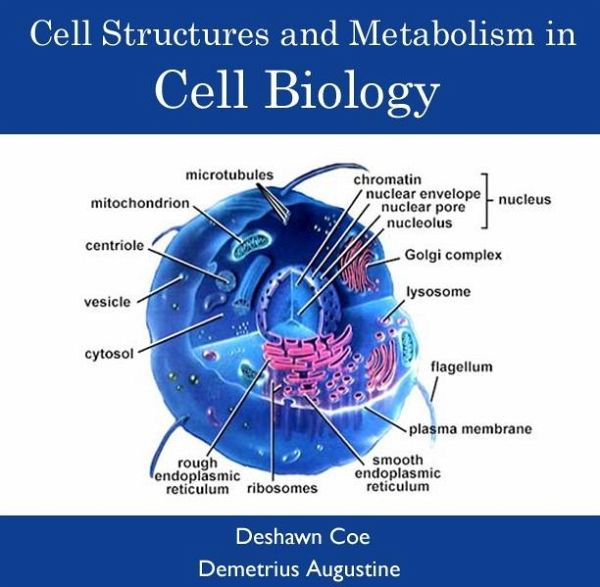 Cell Structures and Metabolism in Cell Biology (eBook, PDF) Cell Structures and Metabolism in Cell Biology (eBook, PDF)