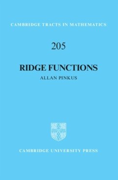 Ridge Functions (eBook, PDF) - Pinkus, Allan