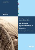 Technische Hydromechanik 2 (eBook, PDF)