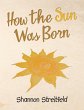How the Sun Was Born (eBook, ePUB) - Bild 1