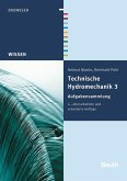 Technische Hydromechanik 3 (eBook, PDF)