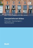 Energielieferant Altbau (eBook, PDF)