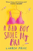 A Bad Boy Stole My Bra (eBook, ePUB)