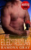 The Electrician (Book Five, Working Men) (eBook, ePUB)