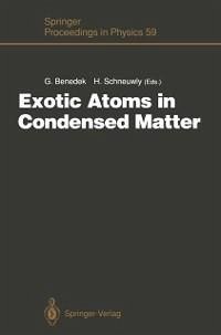 Exotic Atoms in Condensed Matter (eBook, PDF)