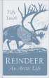 Reindeer - Bild 1