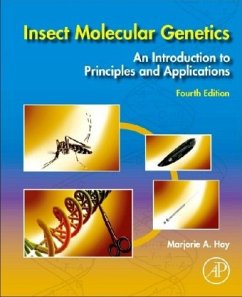 Cover Insect Molecular Genetics