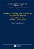 Industrial Clustering, Firm Performance and Employee Welfare (eBook, PDF)