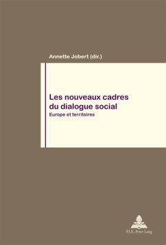 Les nouveaux cadres du dialogue social (eBook, PDF)