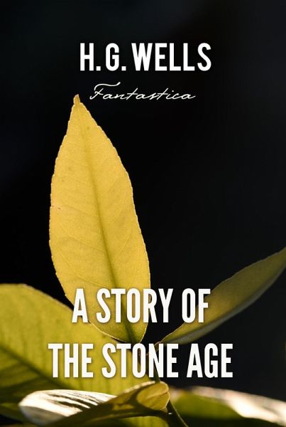 Story of the Stone Age (eBook, ePUB)