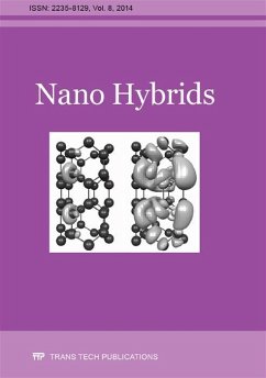 Cover Nano Hybrids Vol. 8 (eBook, PDF)