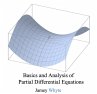 Basics and Analysis of Partial... - Bild 1