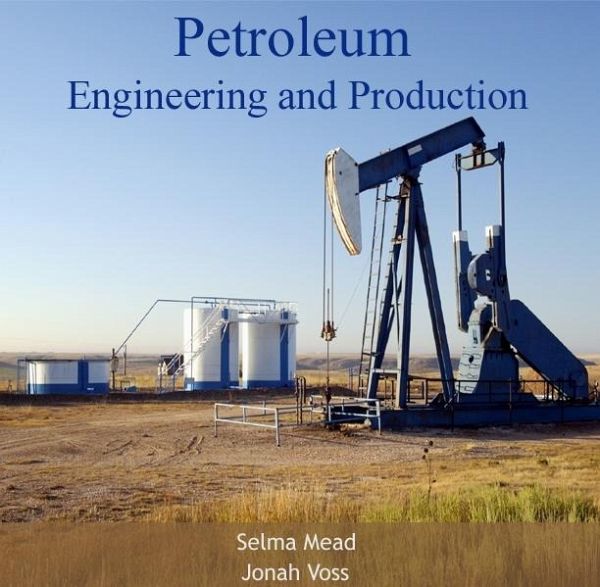 Petroleum Engineering and Production (eBook, PDF)