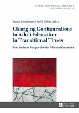 Changing Configurations in Adult Education in Transitional Times (eBook, ePUB)