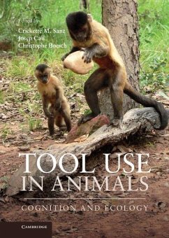 Tool Use in Animals (eBook, ePUB)