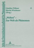 Welten - Zur Welt als Phaenomen (eBook, PDF)