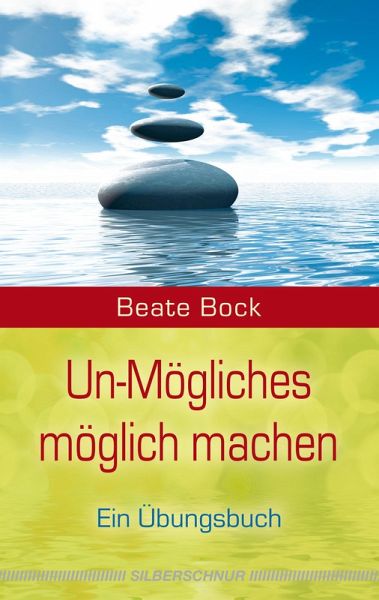 Un-Mögliches möglich machen (eBook, ePUB)