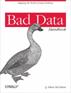 Bad Data Handbook (eBook, ePUB) - Mccallum, Q. Ethan