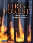 Fire in the Forest (eBook, ePUB)