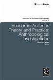 Economic Action in Theory and Practice (eBook, PDF)