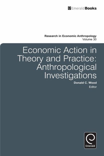 Economic Action in Theory and Practice (eBook, PDF)
