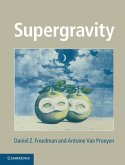 Supergravity (eBook, ePUB)
