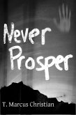 Never Prosper (eBook, ePUB)