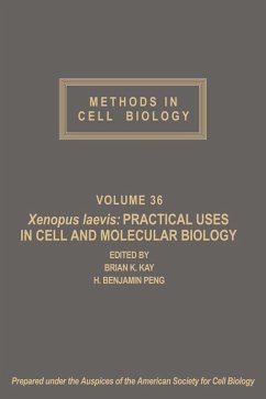 Cover Xenopus laevis: Practical Uses in Cell and Molecular Biology (eBook, PDF)