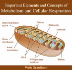 Important Elements and Concepts of Metabolism and Cellular Respiration (eBook, PDF)