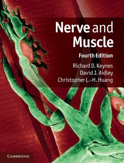 Nerve and Muscle (eBook, ePUB) - Keynes, Richard D.