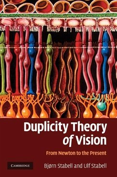 Duplicity Theory of Vision (eBook, ePUB) - Stabell, Bjorn