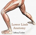 Lower Limb Anatomy (eBook, PDF)