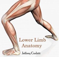 Cover Lower Limb Anatomy (eBook, PDF)