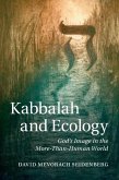 Kabbalah and Ecology (eBook, PDF)