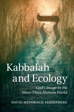 Cover Kabbalah and Ecology (eBook, PDF)