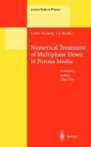 Numerical Treatment of Multiphase Flows in Porous Media (eBook, PDF)