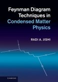Feynman Diagram Techniques in Condensed Matter Physics (eBook, ePUB)