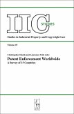Patent Enforcement Worldwide (eBook, PDF)