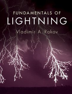 Cover Fundamentals of Lightning (eBook, ePUB)