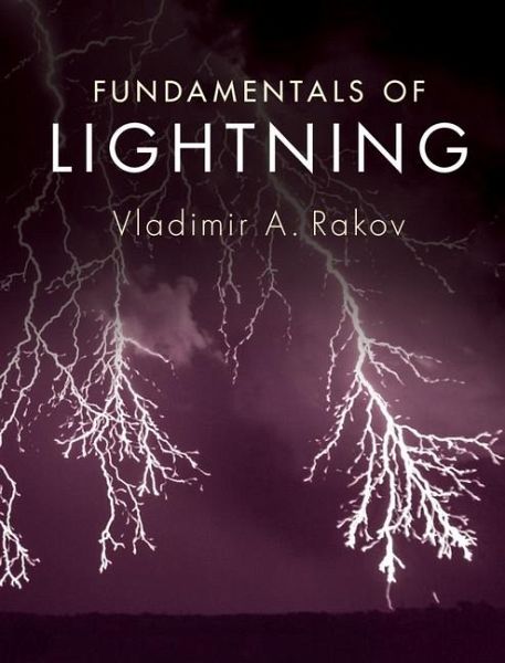 Fundamentals of Lightning (eBook, ePUB) Fundamentals of Lightning (eBook, ePUB)