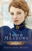 Irish Meadows (Courage to Dream Book #1) (eBook, ePUB)