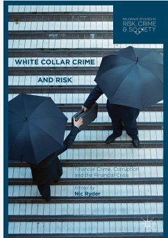 White Collar Crime and Risk (eBook, PDF)