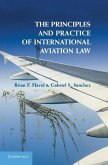 Principles and Practice of International Aviation Law (eBook, ePUB)