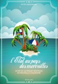 L'Etat au pays des merveilles (eBook, PDF)